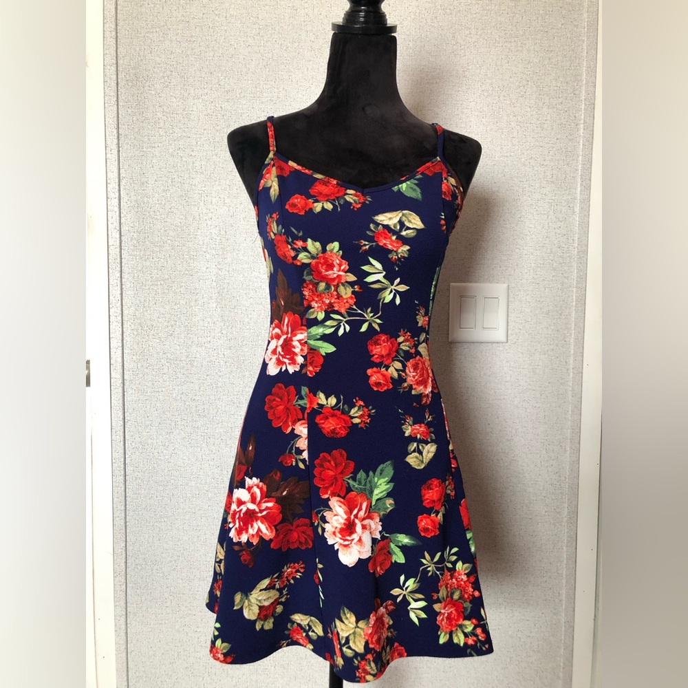 Blue Skater Dress with Red Flowers